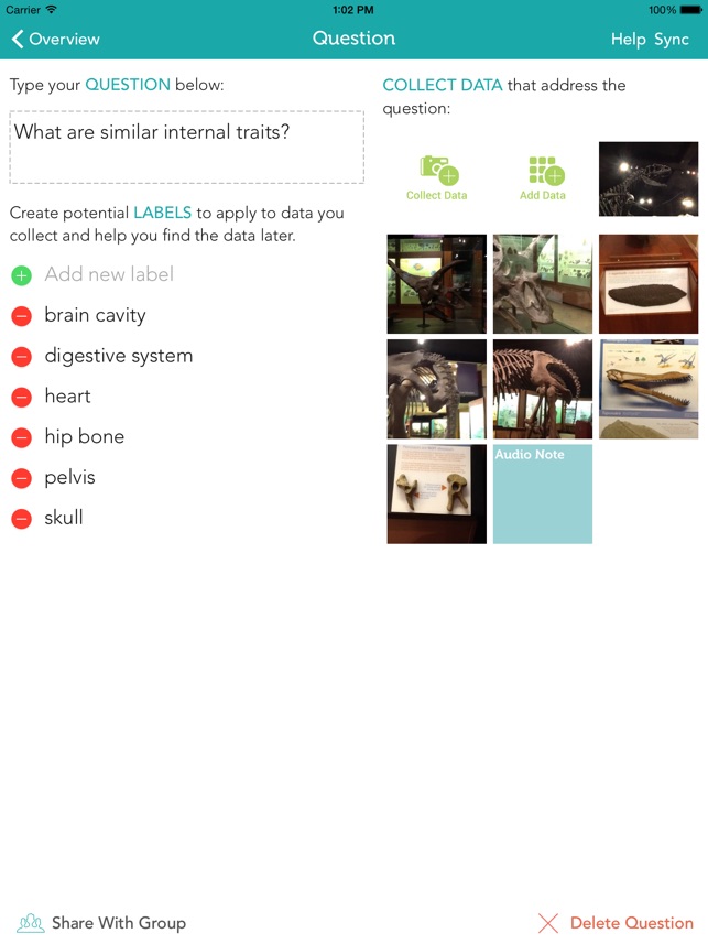 Zydeco Inquiry screenshot 3 of 10