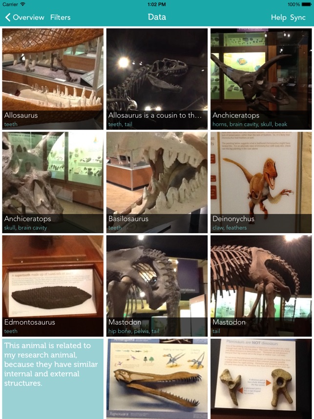 Zydeco Inquiry screenshot 4 of 10