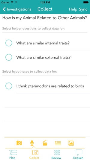 Zydeco Inquiry screenshot 8 of 10