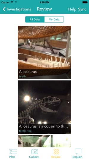 Zydeco Inquiry screenshot 9 of 10